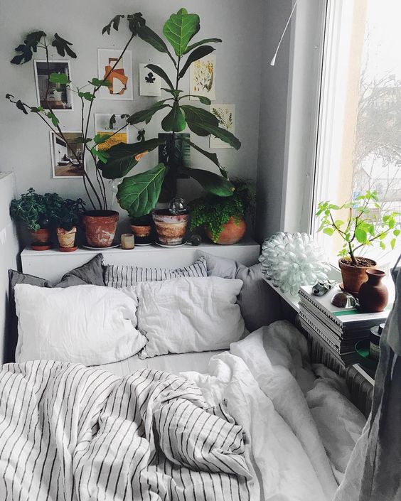 100 Cách Decor phòng ngủ Chill với cây xanh