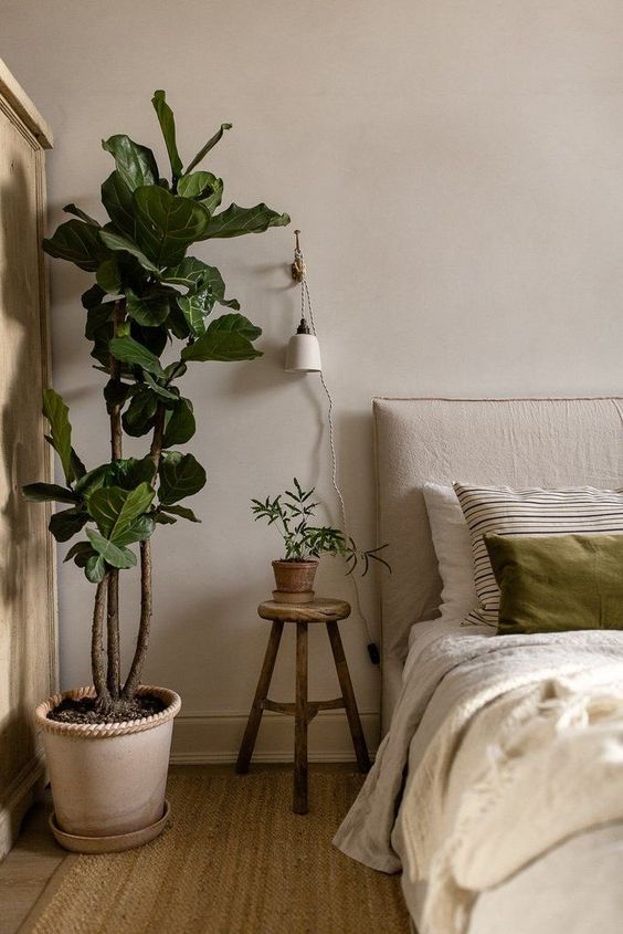 98 Cách trang trí phòng ngủ Chill với chậu cây xanh