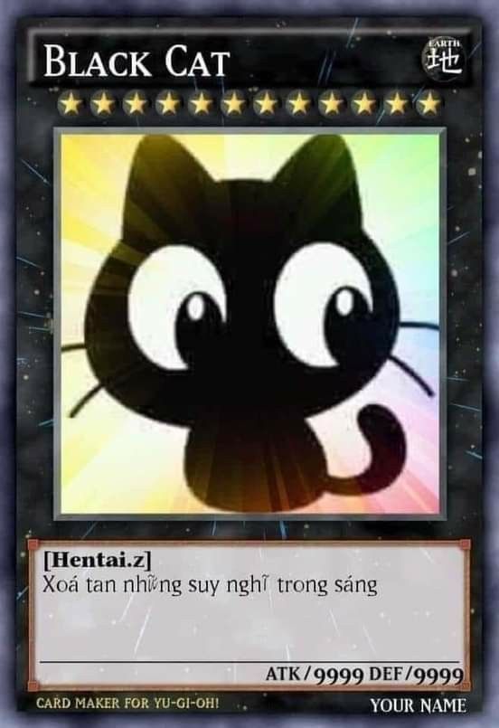 (Ảnh Meme Bất Lực) ảnh Chế Mèo đen Trợ Trò Mắt Cute Hột Me