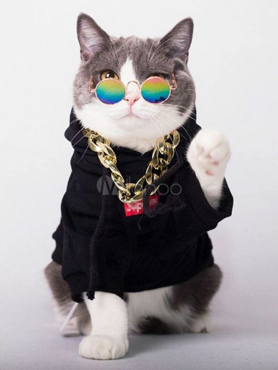 (Ảnh Mèo FF) ảnh Mèo đeo Kính Và Dây Xích Ngầu Lòi 12