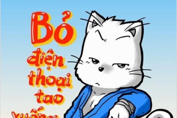 (Ảnh Mèo Simmy) Meme Mèo Bỏ điện Thoại Tao Xuống Cute Hoạt Hình