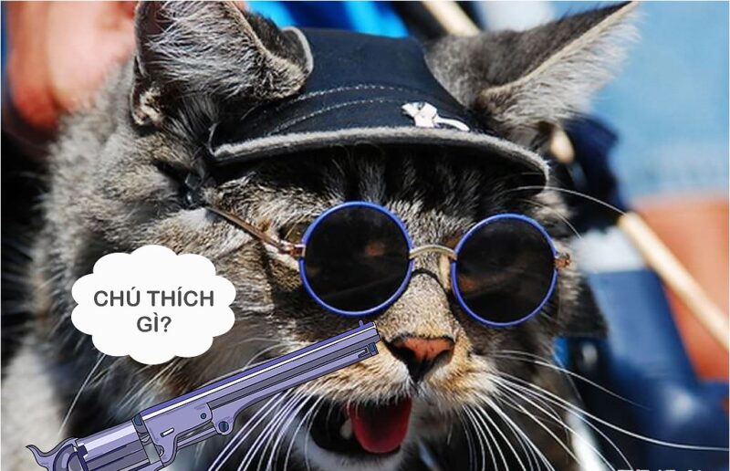 (ảnh Mèo FF) Mèo đội Mũ đeo Kính Chú Thích Gì ảnh Meme