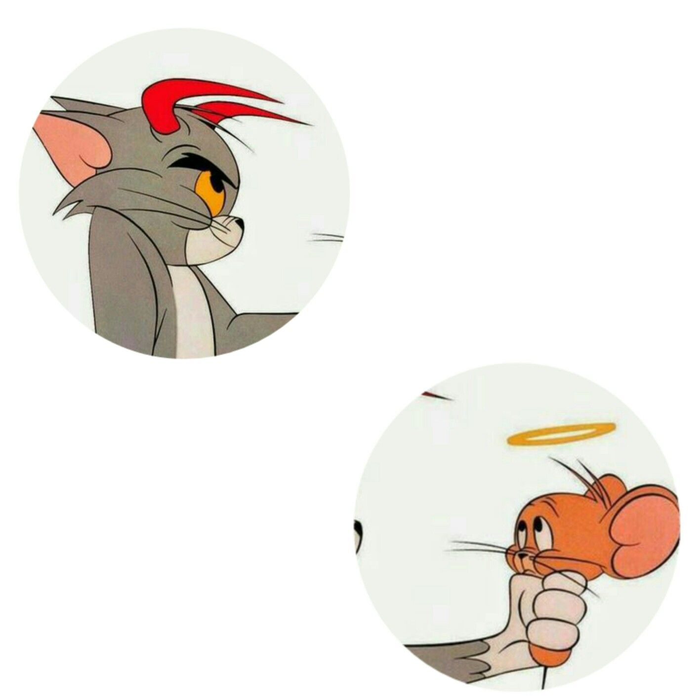 Hình ảnh Avatar Cá Tính Mèo Tom Và Chuột Jelly
