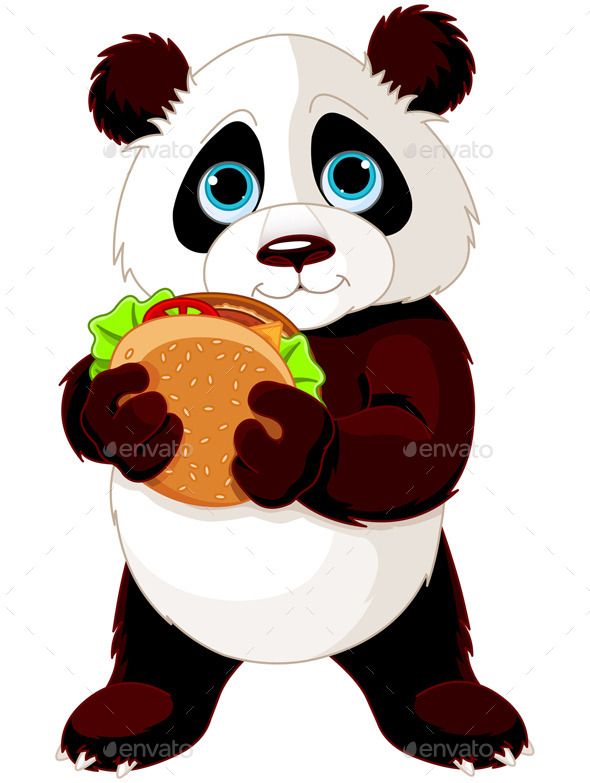 Hình ảnh Gấu Trúc đẹp Cute đáng Yêu Dễ Thương Cầm Bánh Hambeger