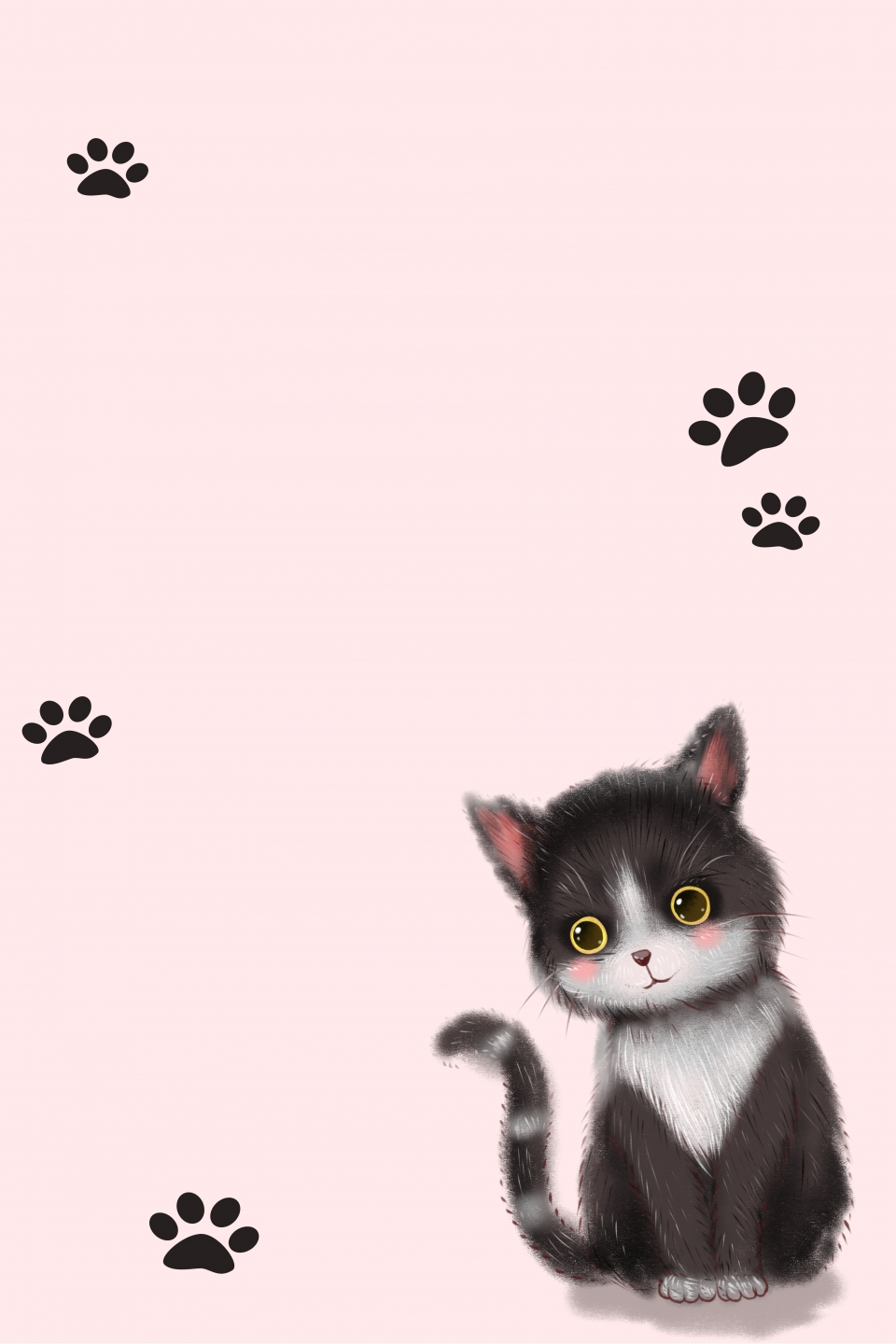 (Hình Nền Mèo đẹp) Tải ảnh Em Mèo Với Bộ Lông Trắng Xám Và đôi Má Hồng Siêu Cute, đáng Yêu Hết Sẩy