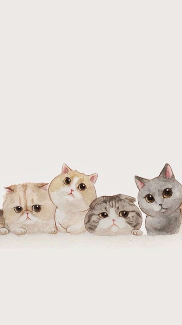 (Hình Nền Mèo Ngầu) Down ảnh 4 Chú Mèo Với 4 Sắc Thái Cute, Ngầu Lòi