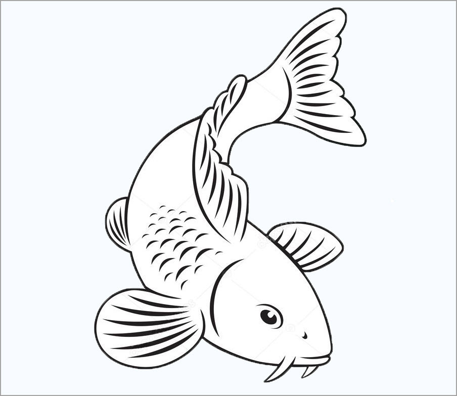 Hình Vẽ Cá Chép đơn Giản Cho Trẻ Em Tô Màu