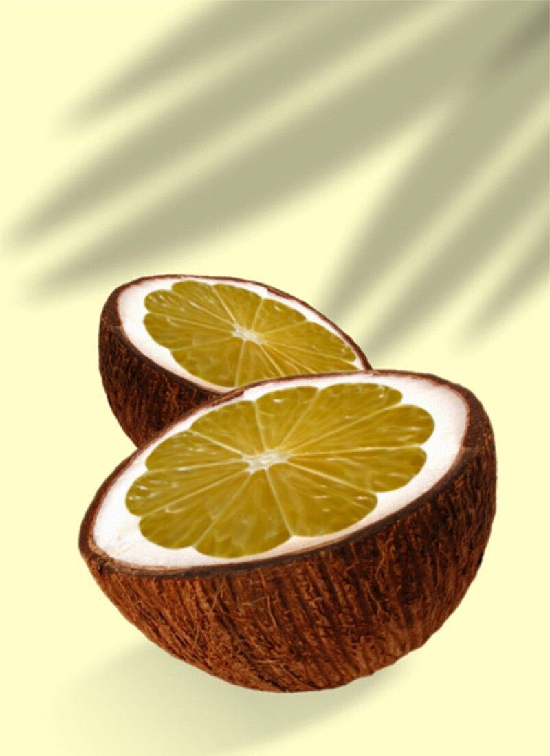 Ảnh Trái Cây Ghép Quả Dừa Ruột Cam
