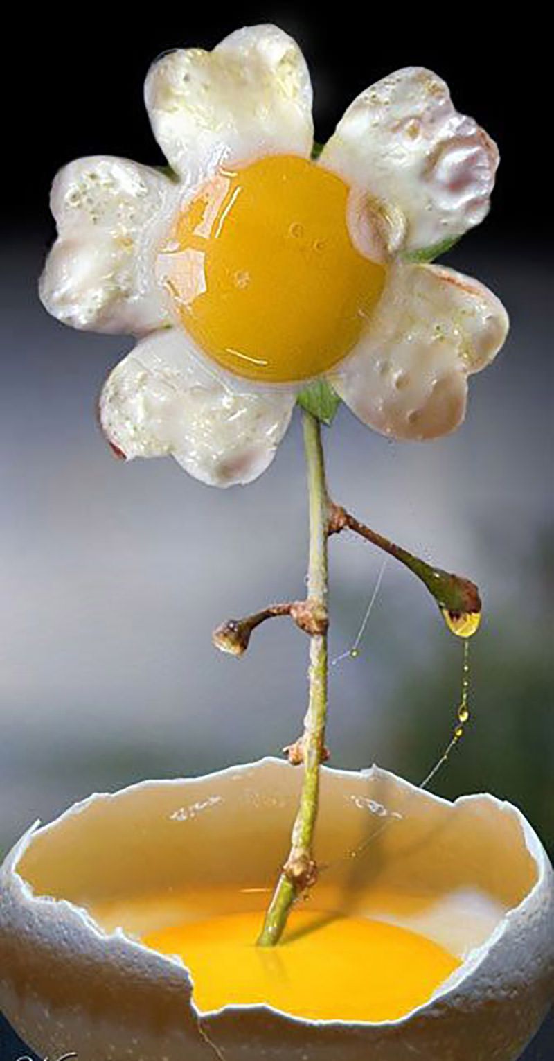 Tải Hình Nền 3D Miễn Phí Bông Hoa Trứng ốp La
