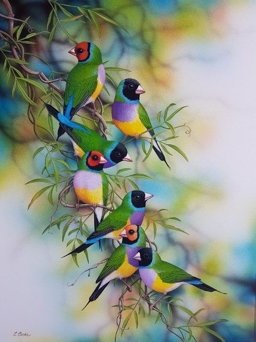 Tải Hình Nền 3D Miễn Phí Hình ảnh Những Chú Chim đậu Trên Cành Cây