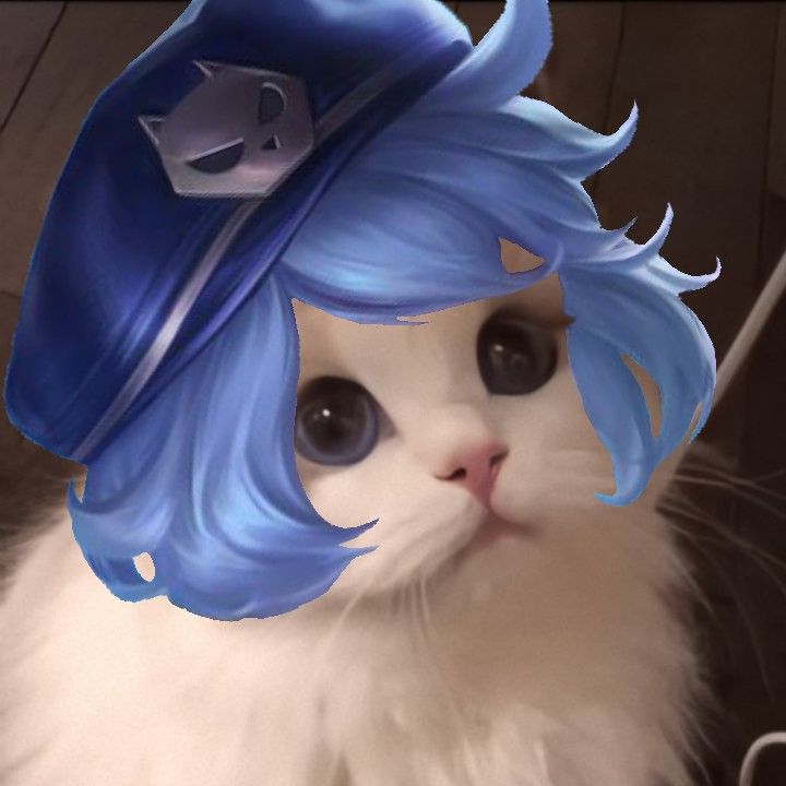 Hình ảnh Florentino Chế Cute Hình Mèo đội Mũ Xanh Hài