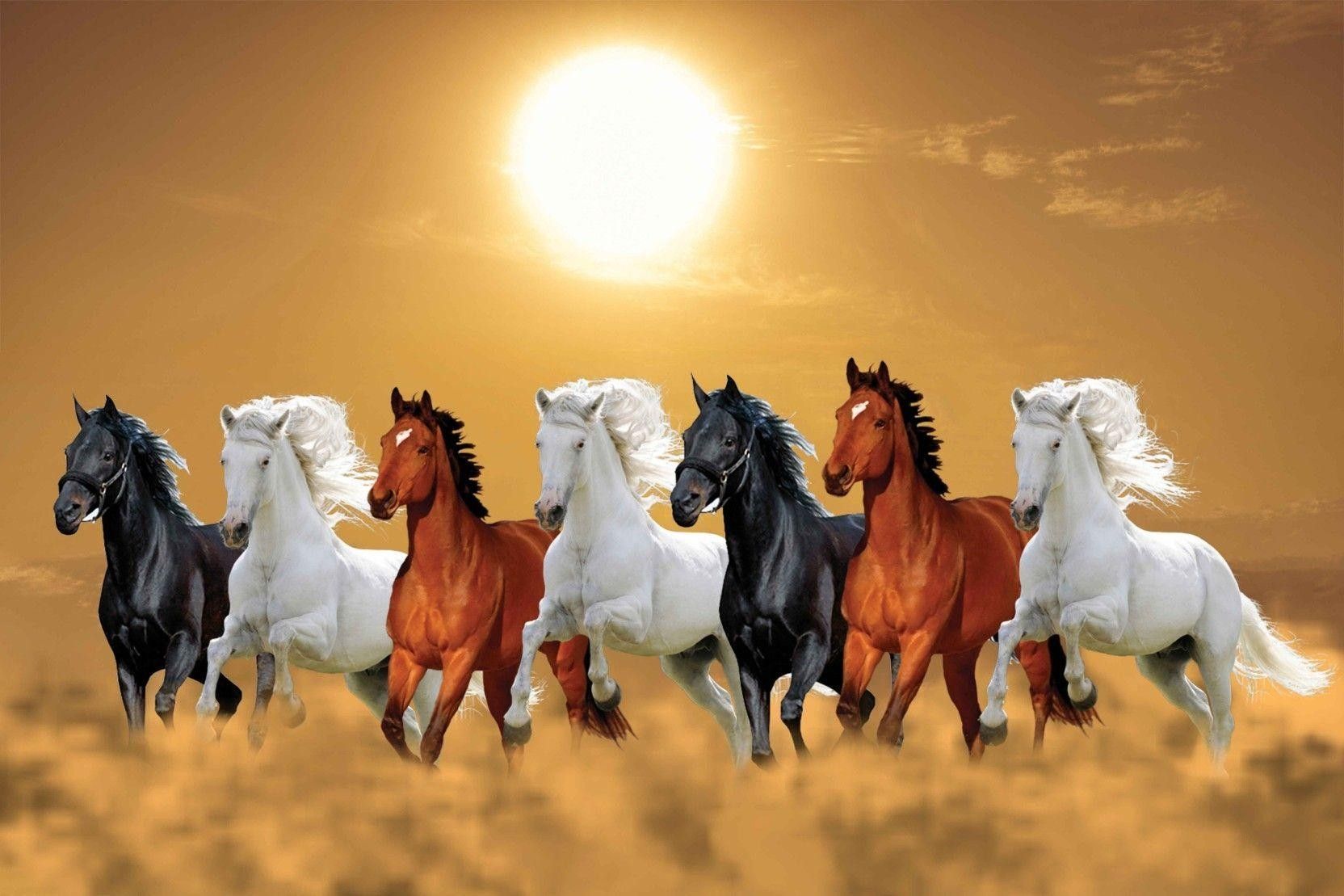 Ảnh Ngựa Mã đáo Thành Công đàn Ngựa Chạy Dưới ánh Mặt Trời
