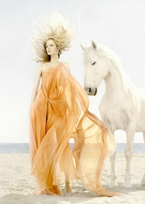 Hình ảnh Con Ngựa đẹp Nhất Bạch Mã Bên Nữ Thần Xinh đẹp