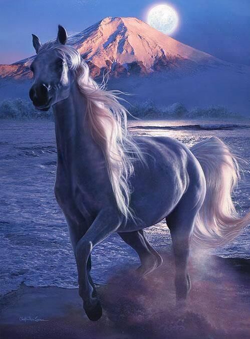 Background Ngựa đẹp Dưới ánh Trăng Sáng