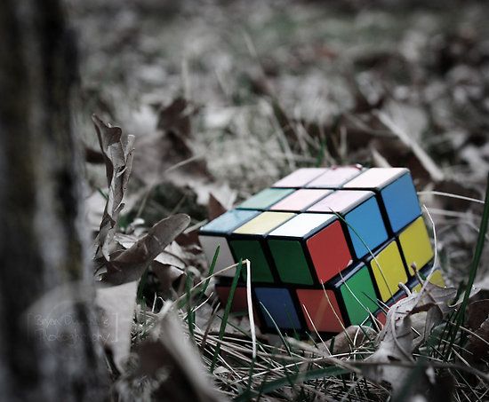 Khối Rubik Nằm Trên Bãi Cỏ Khô ảnh Rubik Ngầu (31)