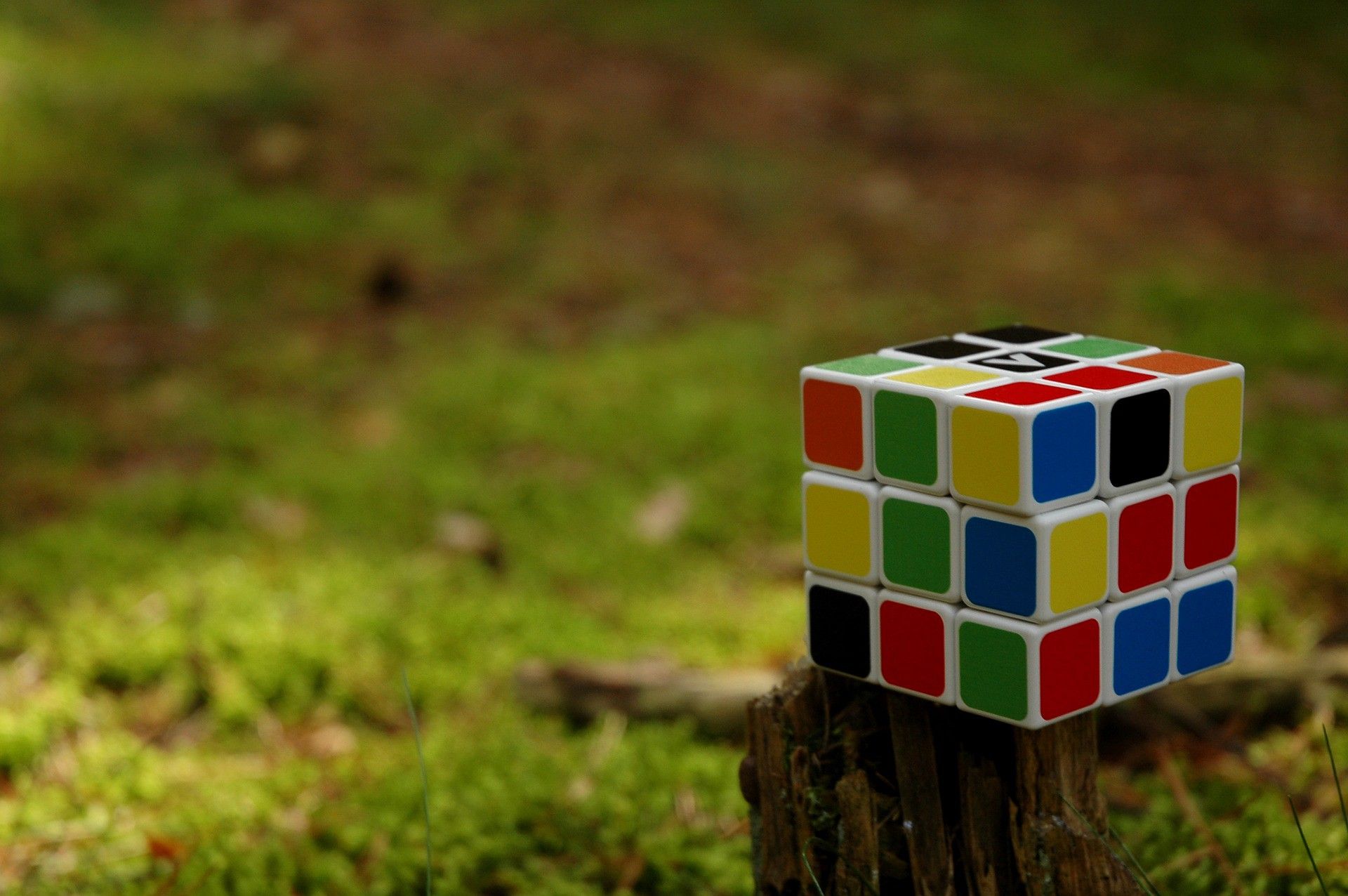 Rubik 3x3 Nằm Trên Bãi Cỏ ảnh Khối Rubik (9)