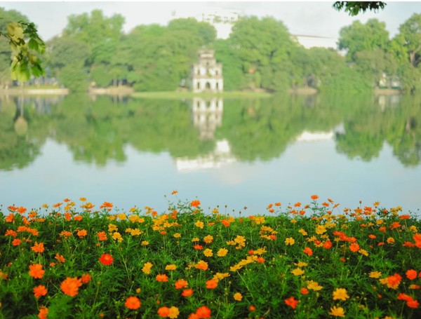 Tải ảnh Hồ Gươm Giữa Mùa Hoa Nở Rực Rỡ